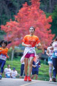 BIB: 8123, 131
                            <button type="button" onclick="openModal(19241868)" class="btn btn-primary btn-sm float-right btn-popup" data-toggle="modal" data-target=".modal-high-quality">
                        <i class="fas fa-shopping-cart"></i> Add to Cart
                    </button>
                                            <button type="button" onclick="isThisMe(19241868, true)" class="btn btn-success btn-sm float-right btn-popup btn-isme hidden" data-toggle="tooltip" data-placement="bottom" title="นี่คือรูปของคุณใช่ไหม คลิกที่นี่เพื่อเอาเข้าอัลบั้ม">
                        <i class="fas fa-plus"></i> Add to album
                    </button>
                    <button type="button" onclick="isThisMe(19241868, false)" class="btn btn-warning btn-sm float-right btn-popup btn-isnotme hidden">
                        <i class="fas fa-ban"></i> Remove from album
                    </button>